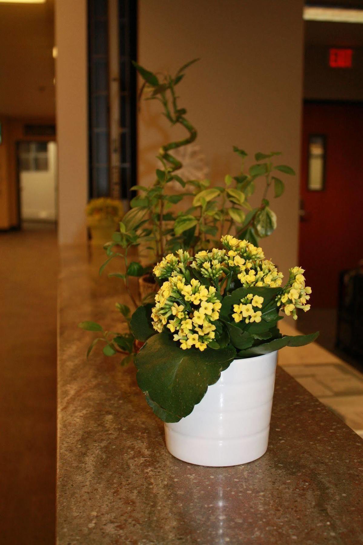 University Of Alberta - Hotel เอดมันตัน ภายนอก รูปภาพ